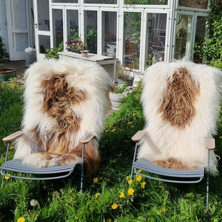 To hvide langhårede lammeskind med store brune pletter på havestole i haven.