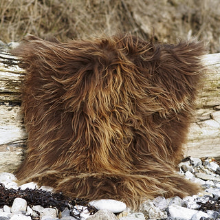 Gyldenbrunt langhåret lammeskind med mørke hårspidser, fotograferet udendørs i sne.