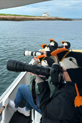 Fotografer ved vandet med strikkede lundehuer med orange næb.